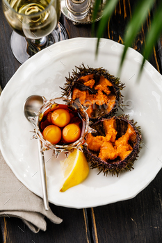 Fresh opened Sea Urchins with quail egg and soy sauce on white plate on black wooden background / Photodune, Misc