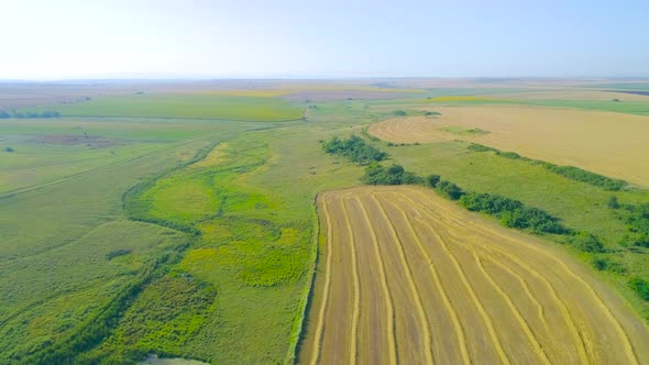 Green fields landscapes