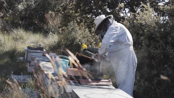 Beekeeper checking honeycomb in apiary