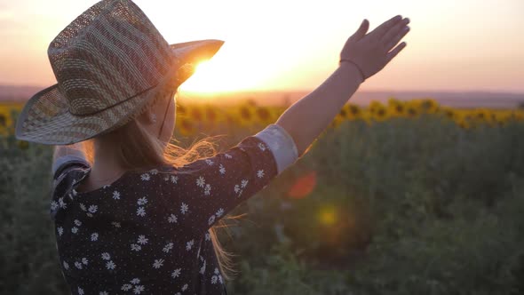 Child Girl Runs Across the Field of Sunflowers, Hands Are Opened at Sun Down.