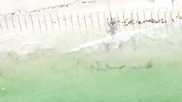 Vertical Video of the Beach on Zanzibar Island Tanzania Aerial View