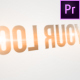 Quick Clean Contour Logo 2 (Premiere Version) - VideoHive Item for Sale
