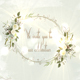 Wedding Invitation Pack - VideoHive Item for Sale