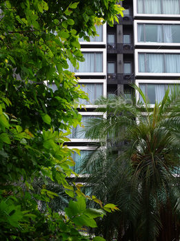 Tree and the building in the city / Photodune, Misc