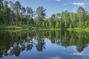 Calm blue lake and trees on a sunny evening in northern Minnesota during summer / Photodune, Misc