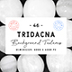 46 Tridacna Background Textures - 3DOcean Item for Sale