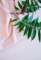Green branch on pink silk fabric - PhotoDune Item for Sale