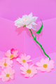 Romantic Decor roses - PhotoDune Item for Sale