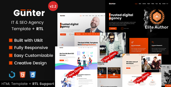 IT & SEO Services Company HTML Template - Gunter