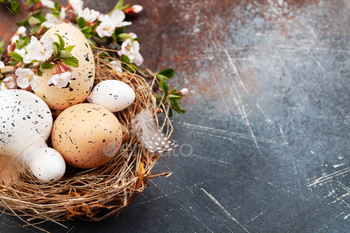 Easter eggs and cherry blossom / Photodune, Misc