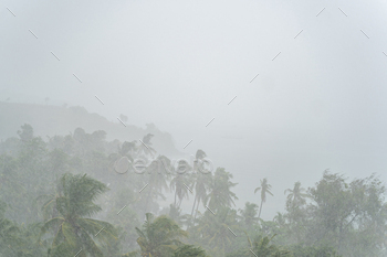 Sudden heavy tropical rain darkening the sky / Photodune, Misc