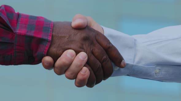 Closeup Part of Human Body Two Men African and Caucasian Businessmen Shake Hands Conclude Successful