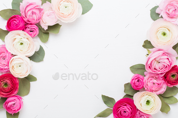 Beautiful colored ranunculus flowers on a white background. Spring greeting card. / Photodune, Misc