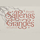 Sallenas Grandes|Elegant Serif Font - GraphicRiver Item for Sale