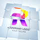 Logo Opener - VideoHive Item for Sale