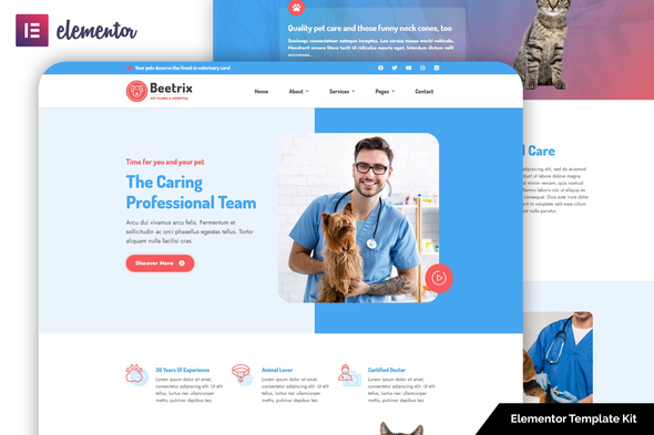 Beetrix - Pet Clinic & Hospital Elementor Template Kit