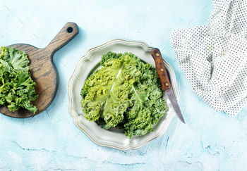 savoy cabbage / Photodune, Misc
