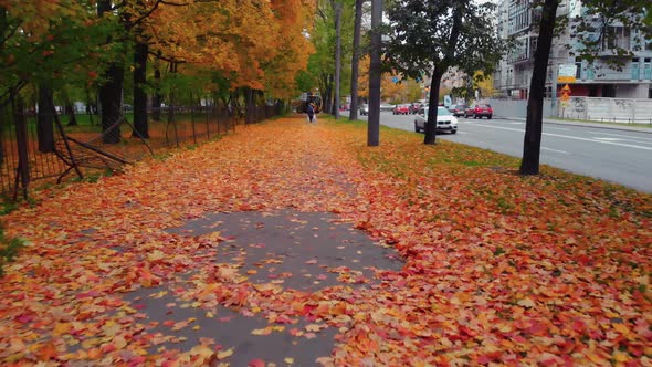 The Beauty of an Autumn Park in St