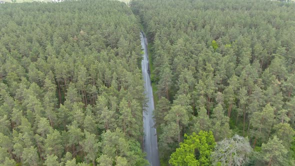 Top View of Drone Flying Over Picturesque Forest with City at the Background. Aerial View of