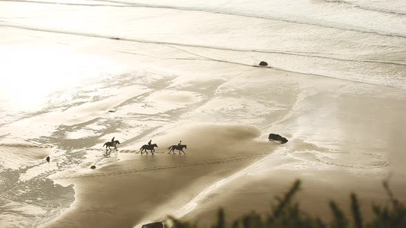 Aerial view of people riding horses at gallop on the beach