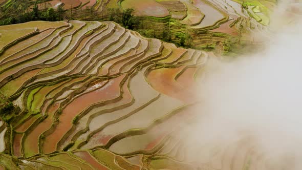 Aerial shot of the famous terraced rice fields of Yuanyang County China