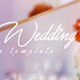 Bright Wedding - VideoHive Item for Sale