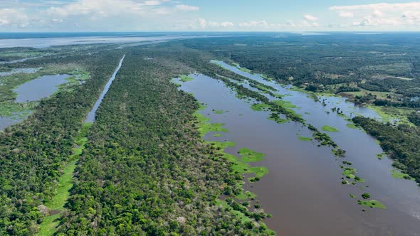 Amazon River at Amazon Forest. The famous tropical forest of world. Manaus Brazil. Amazonian ecosyst