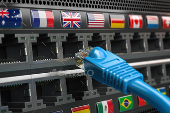 n cable and a router with different flags. 3d illustration
