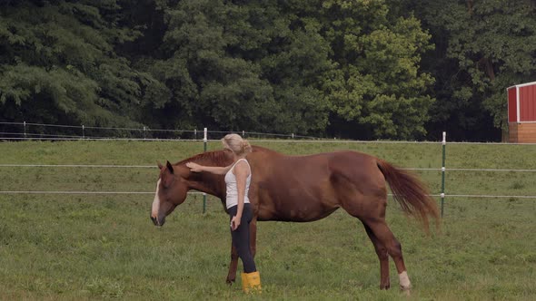 A woman at a horse ranch pets a beautiful young colt grazing in a field