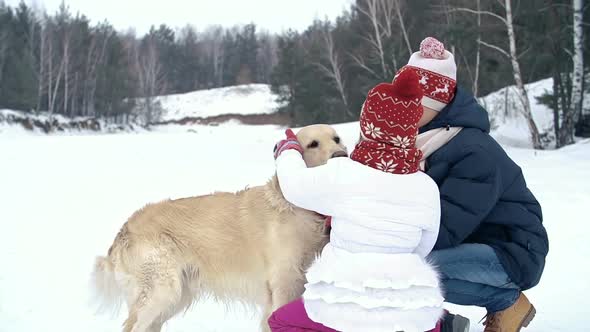 Petting an Obedient Dog 