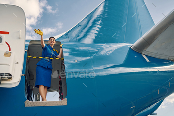 Happy dark-haired air hostess standing in the open aircraft doorway / Photodune, Misc