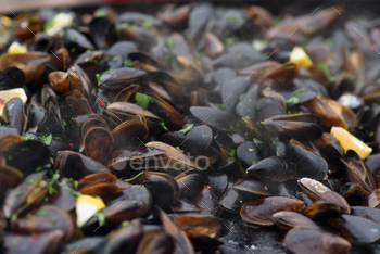 Close up of cooked mussels at a street food festival, ready to eat seafood / Photodune, Misc