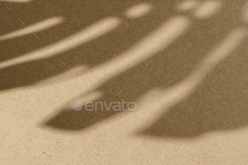 紙の上の熱帯植物の影の創造的な背景 / Photodune, Misc