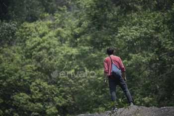 view of tropical forest, Thailand / Photodune, Misc