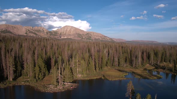 Rotating view above lake and forest