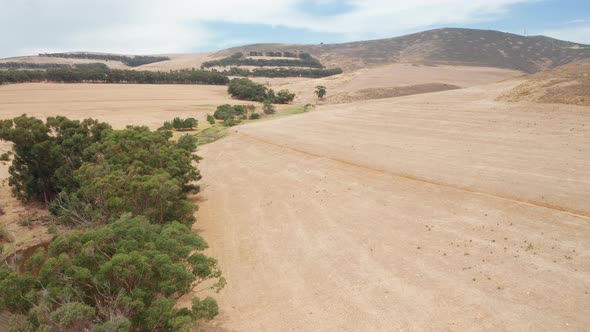 Oasis Surrounded with Trees 