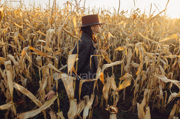 Beautiful stylish woman in hat and vintage coat walking in autumn maize field in warm sunshine / Photodune, Misc