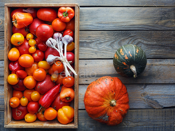 Fresh vegetables in wooden box on the table / Photodune, Misc