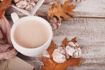 Autumn still life with cup of cocoa and chocolate cookies / Photodune, Misc