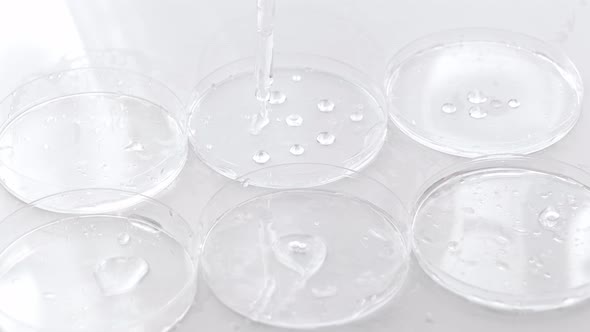 liquid gel or hyaluronic serum acid in petri medical dish