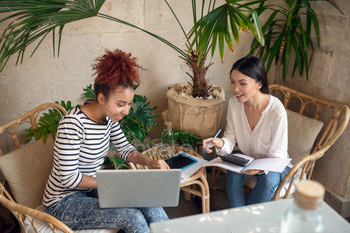 Entrepreneurs using calculator while making monthly report / Photodune, Misc