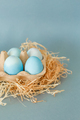 Colorful easter eggs on hay on blue background - PhotoDune Item for Sale