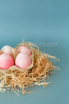 Colorful easter eggs on hay on blue background / Photodune, Misc