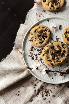 Homemade chocolate chip cookies / Photodune, Misc
