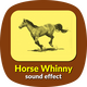 Horse Whinny Sound