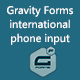 Gravity Forms international phone input - CodeCanyon Item for Sale