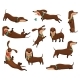 Group of Dogs Dachshund - GraphicRiver Item for Sale