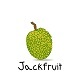 Jackfruit - Grocery, Fruits & Vegetable Delivery, Android eCommerce App with Node Js Technology - CodeCanyon Item for Sale