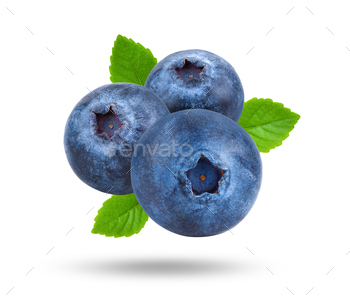 Blueberries isolated on white background / Photodune, Misc