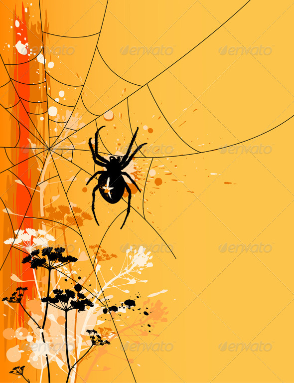 Halloween Background with Spider